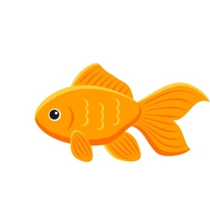 Gold Fish Shop - Kho tài khoản premium